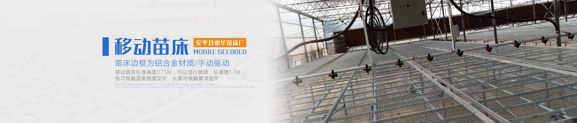 安平县重华苗床网厂