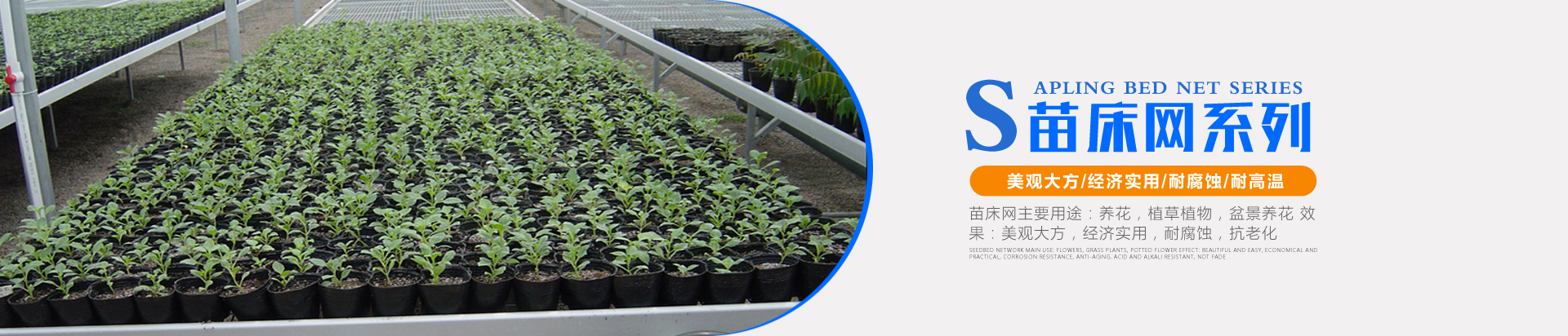 安平县重华苗床网厂
