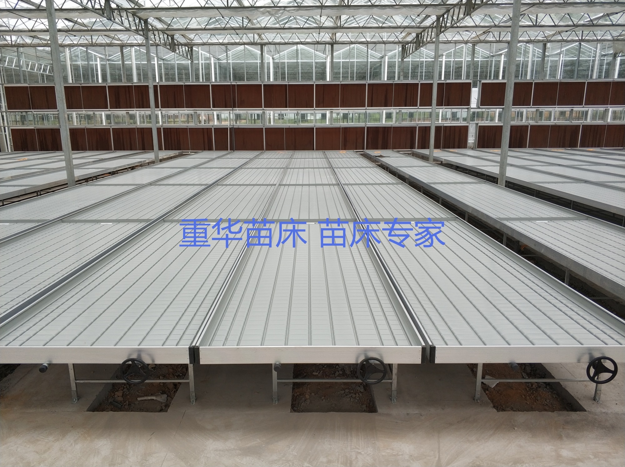 mmexport1533813109137_副本.jpg